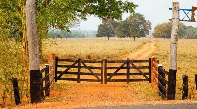 Arrendamento - Fazenda com 29 ha, Una-BA