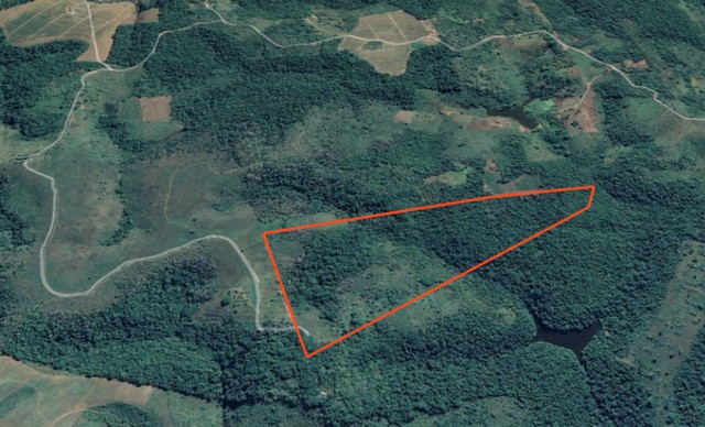 Arrendamento - Fazenda com 29 ha, Una-BA - Foto 2