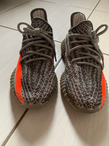 tenis beluga
