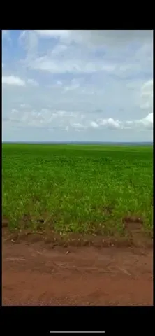 Fazenda 11.000 ha em  Pedro Afonso-TO