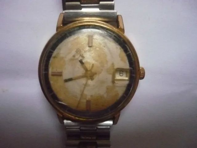 Mirvaine E Mondaine No Estado, Leia Campo Descrição Anúncio - Foto 3