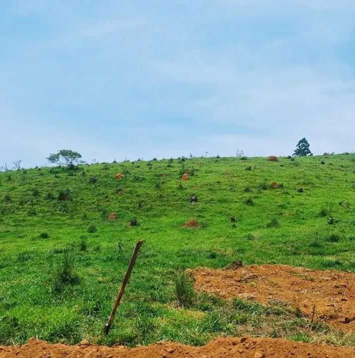 Imóvel para venda tem 600 metros quadrados em Centro - São José dos Campos - SP - Foto 7