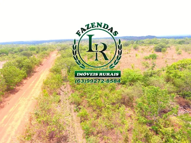 Fazenda 65 Alqueires de Oportunidade Vale Araguaia Beira da Rodovia