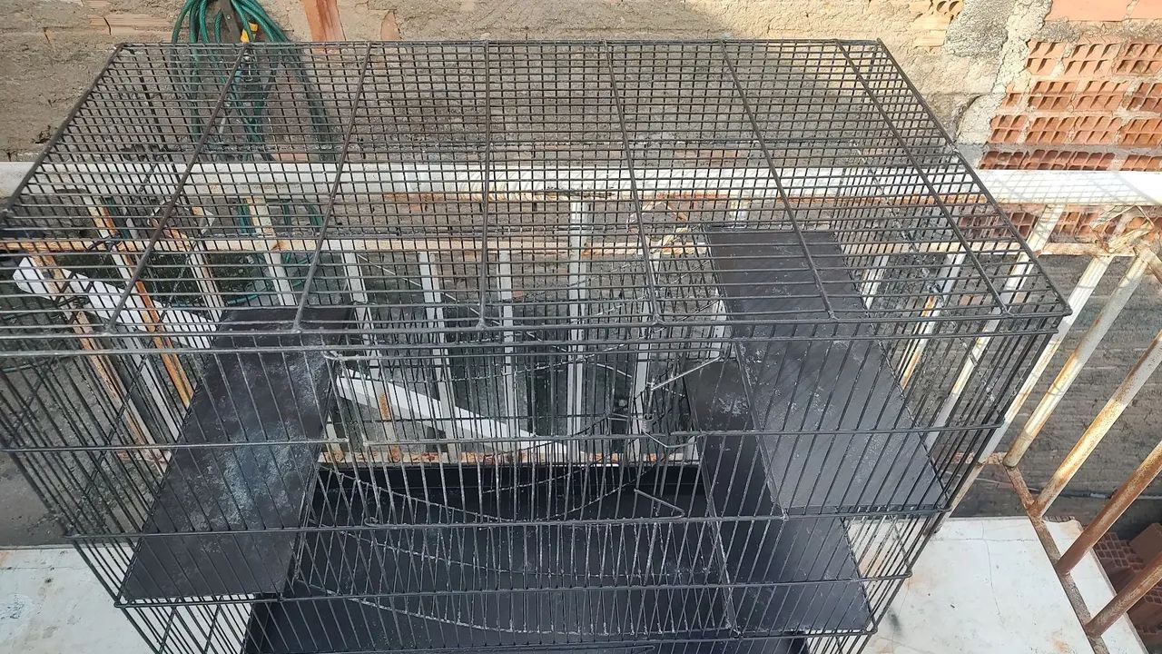 Gaiola para roedor - Foto 5