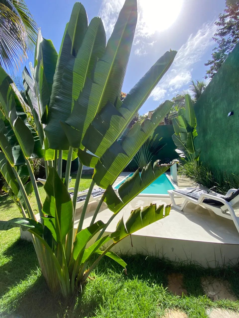 Réveillon Casa Amora em Imbassaí com Piscina Privativa e Ar-condicionado - Foto 3