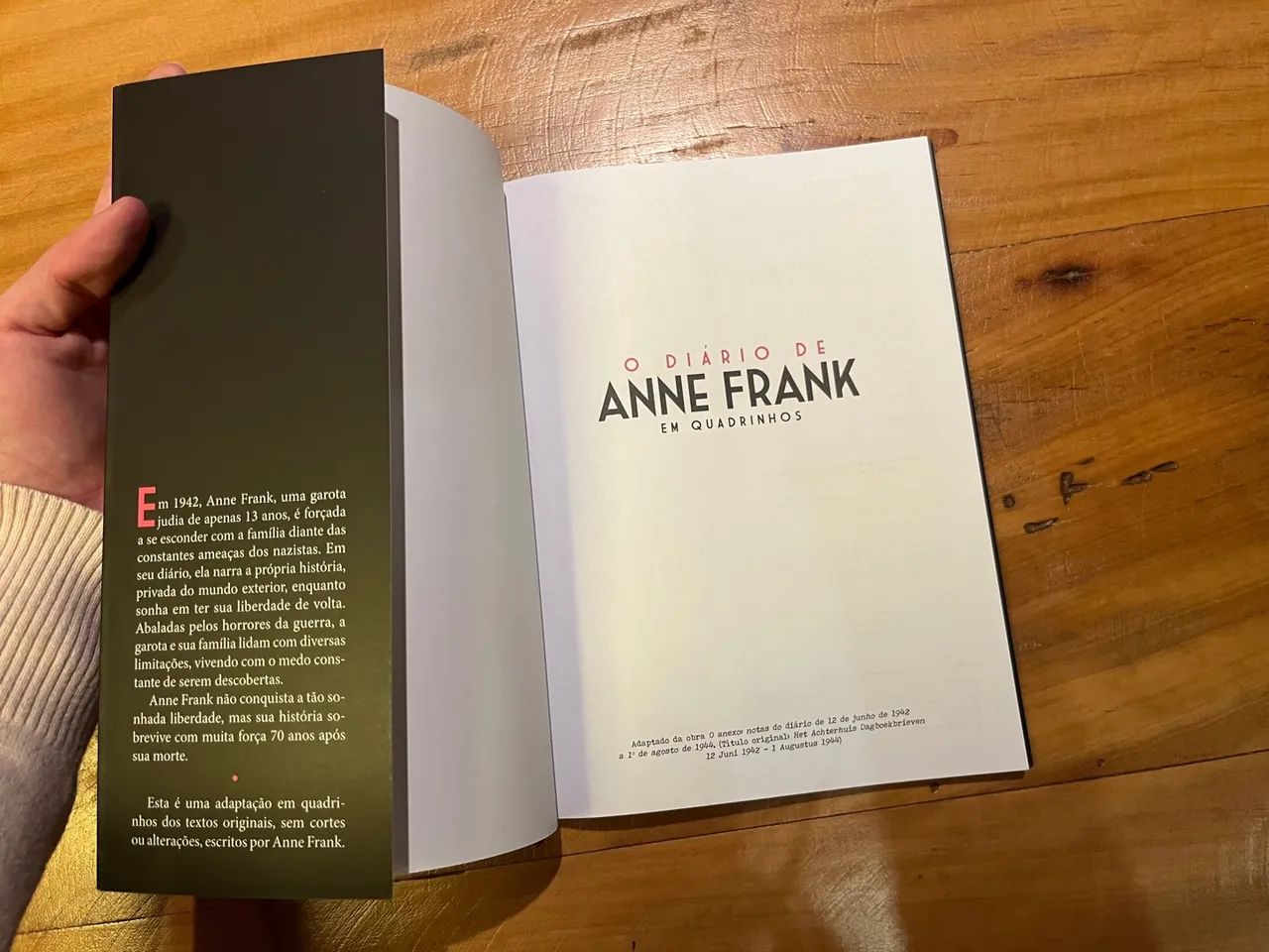 O Diário de Anne Frank em Quadrinhos - Foto 3