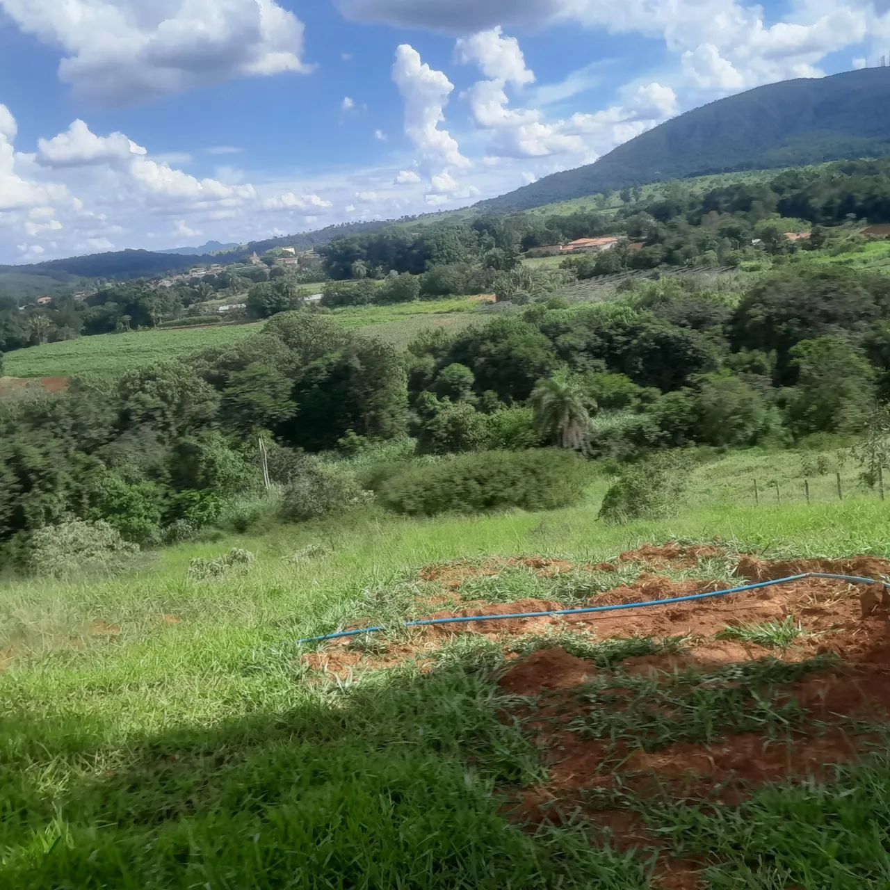 Terreno com área verde em região tranquila - Foto 2