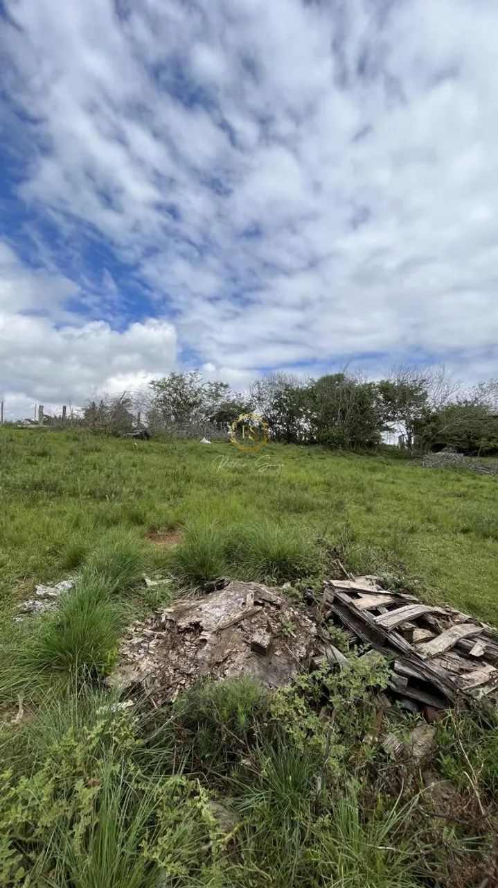 Oportunidade: Terreno para venda em Nova Santa Rita, Floresta REF: TE0178 - Foto 2