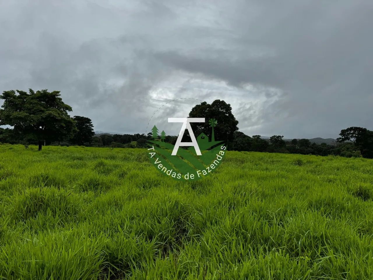 55 alqueires em Goias Velho - Foto 3