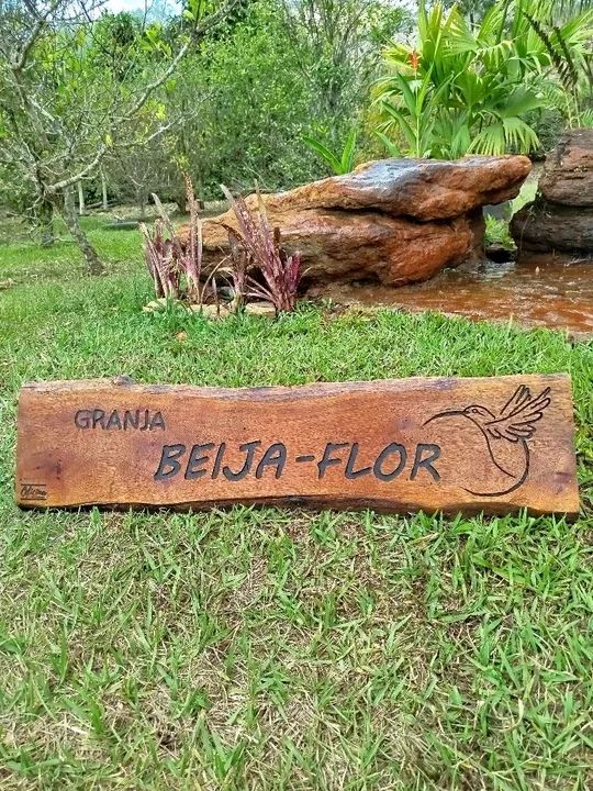 Placas entalhadas em madeira 