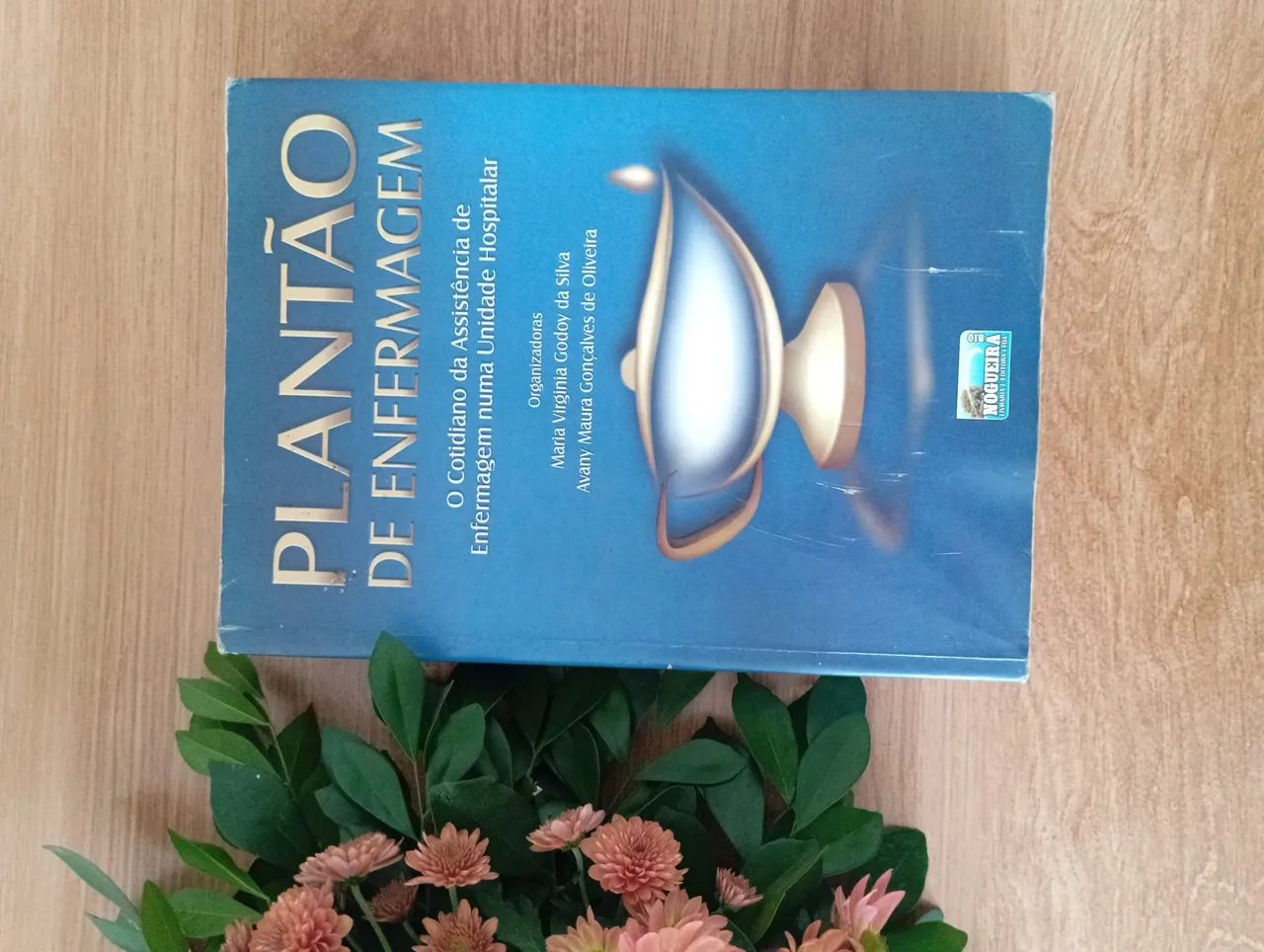 Livro Plantão de Enfermagem - O Cotidiano da Assistência