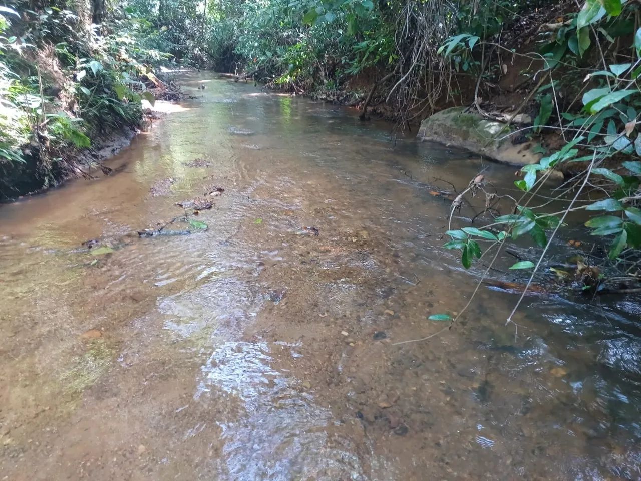 Chácara em gameleira de goias 10.000 metros - Foto 2