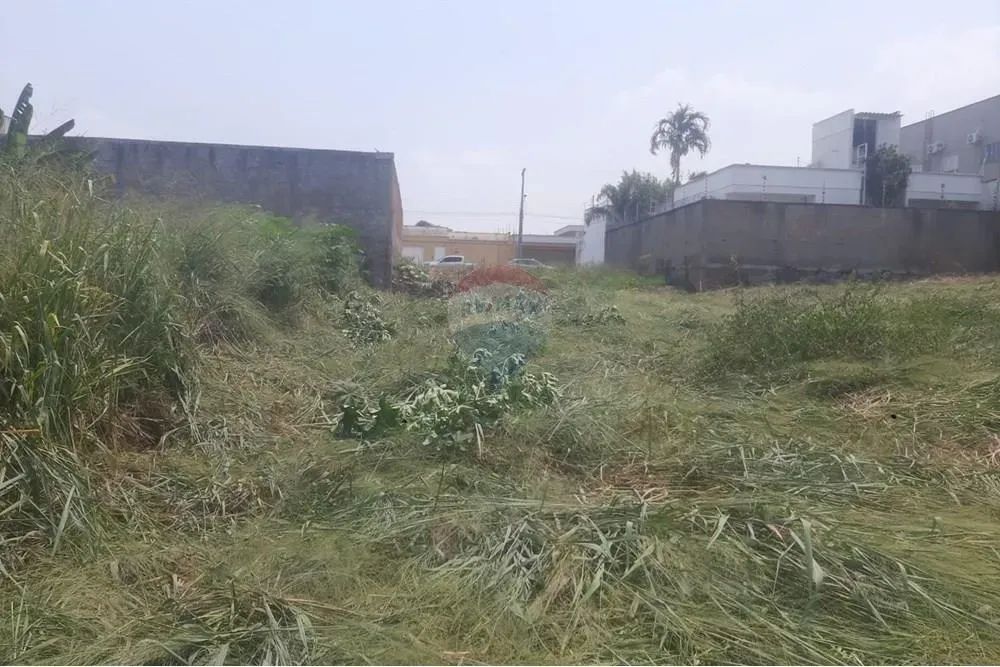 "Terreno na Tras Mangueira: Invista com Retorno Seguro" - Foto 3