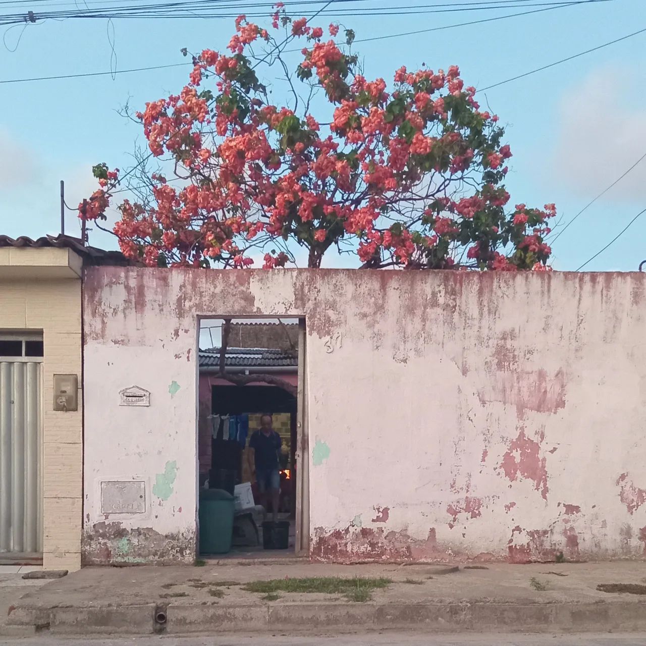 Foto - Maceió - Clima Bom