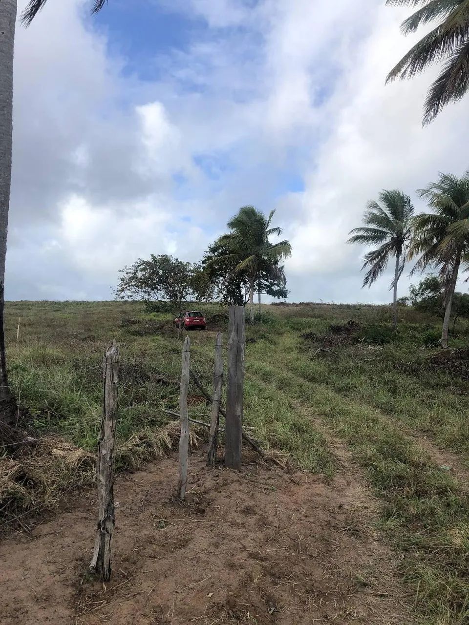Área incrível nas proximidades da Praia da Pipa 9 hectares - Foto 3