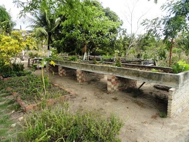 Sítio no município de Bayeux - Foto 9