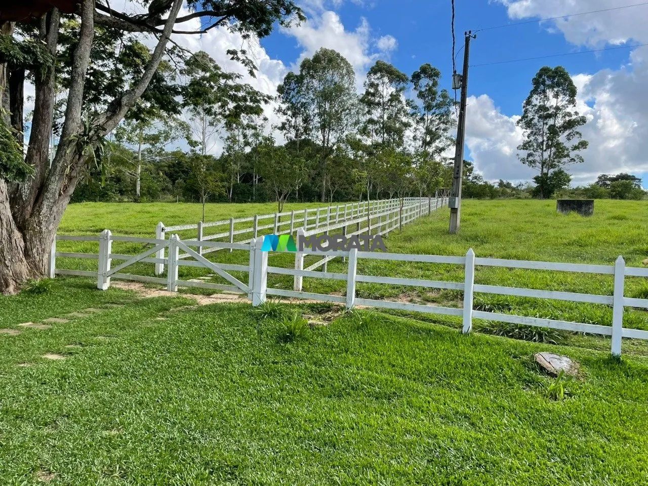 FAZENDINHA À VENDA - 05 HECTARES - ITUTINGA (MG) - Foto 2