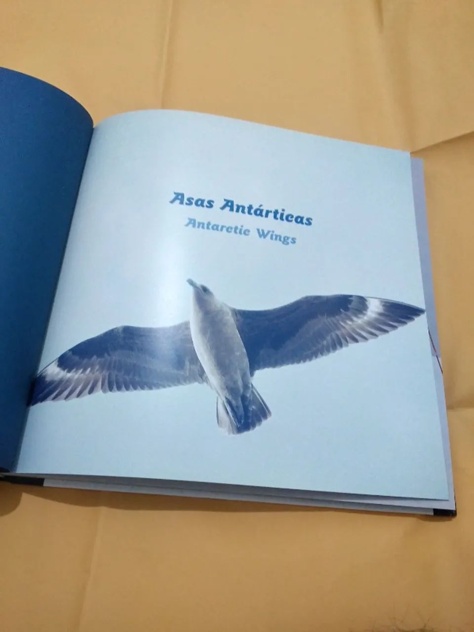 ASAS ANTARTICAS 