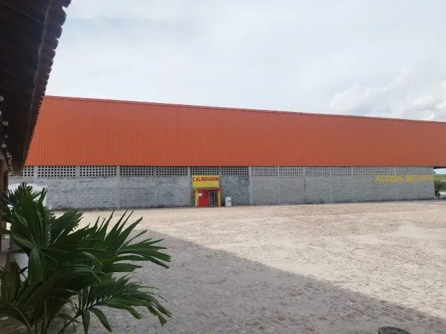 Alugo galpão com 1200m² em Serrinha -Bahia - Foto 4