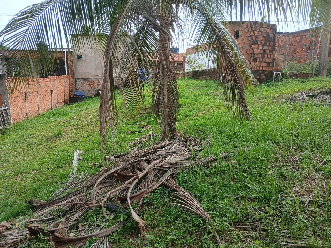 Vende-se  - Foto 3