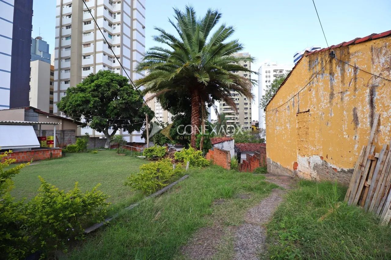 terreno - Jardim Proença - Campinas - Foto 4