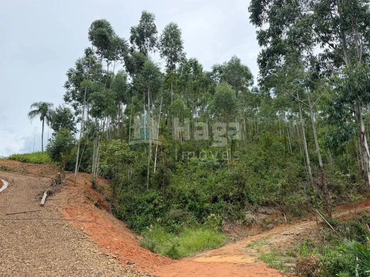 Terreno à venda em Canelinha - Foto 5