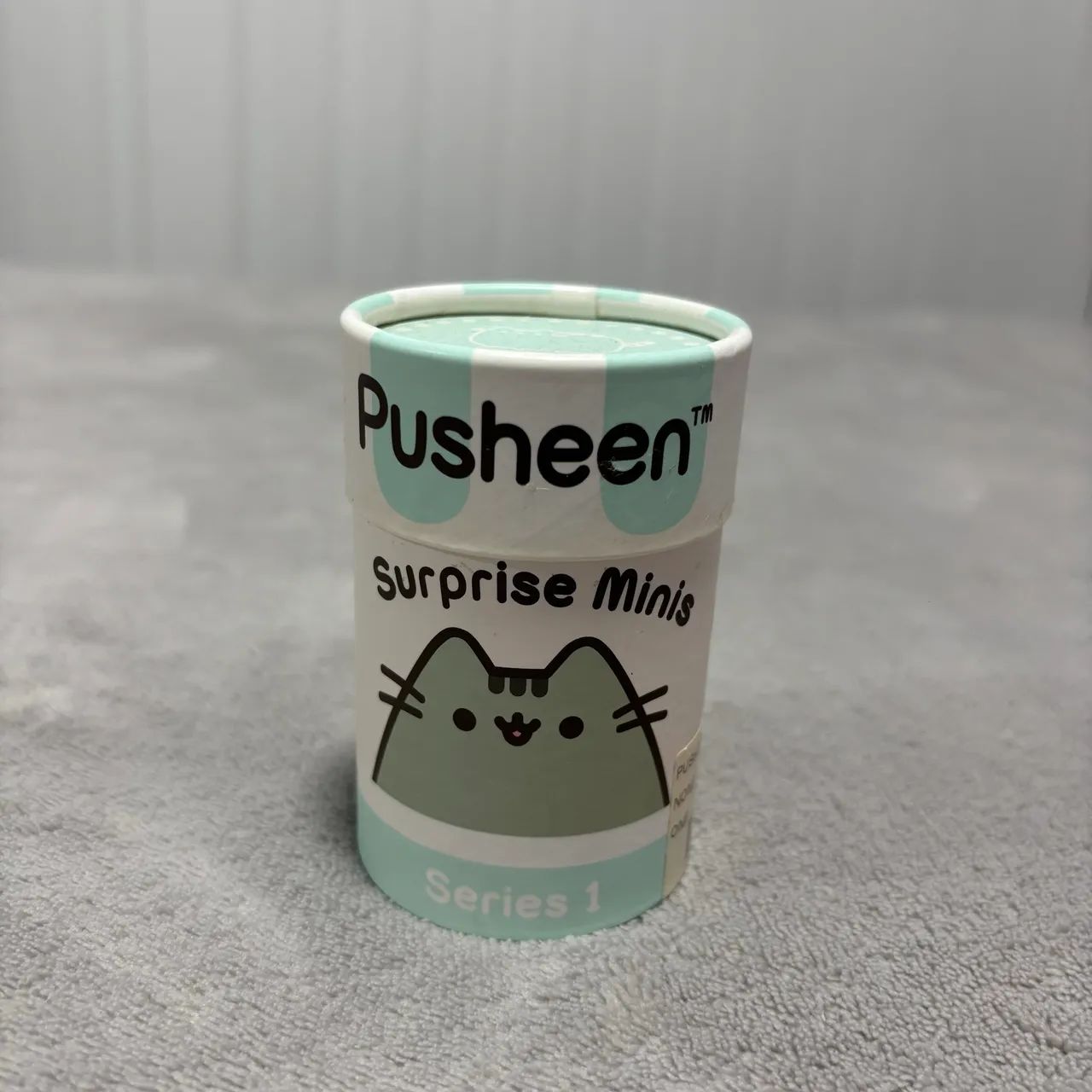Caixa Pusheen Cat Decoração