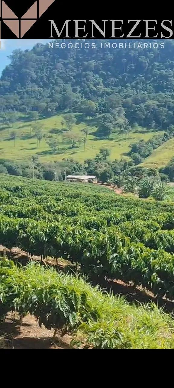 Sítio à venda sentido Ibiraci - Foto 5