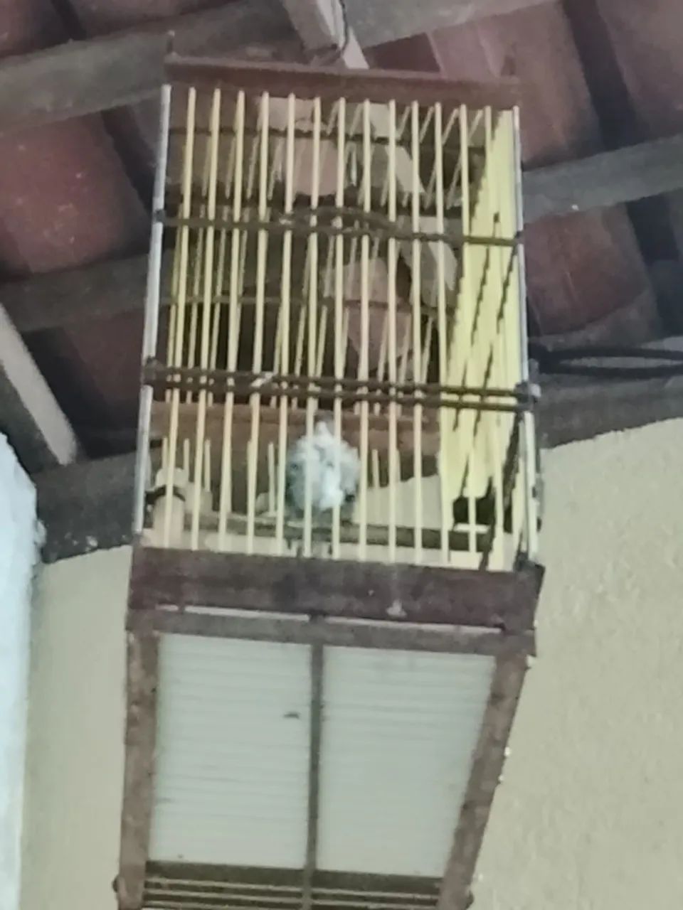 Gaiolas boa 