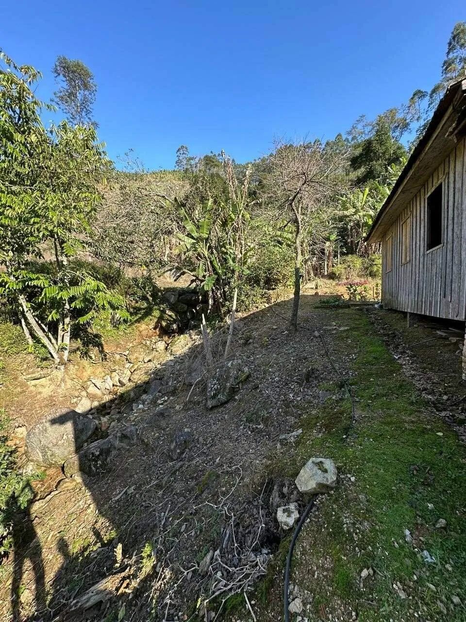 Sítio à Venda, Bairro Vila 12 em Antônio Carlos/SC - Foto 4