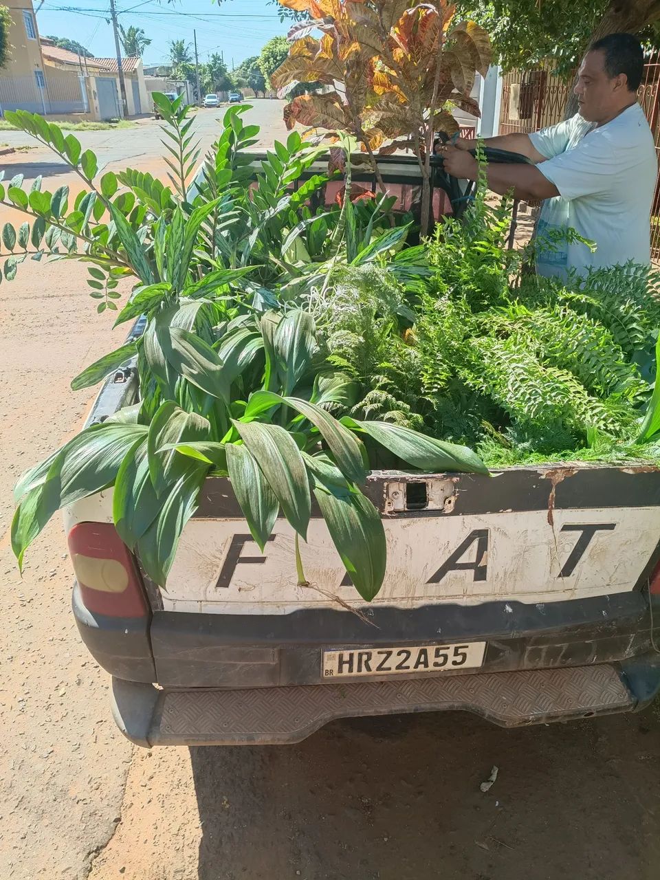 Freta Rápido  - Foto 4