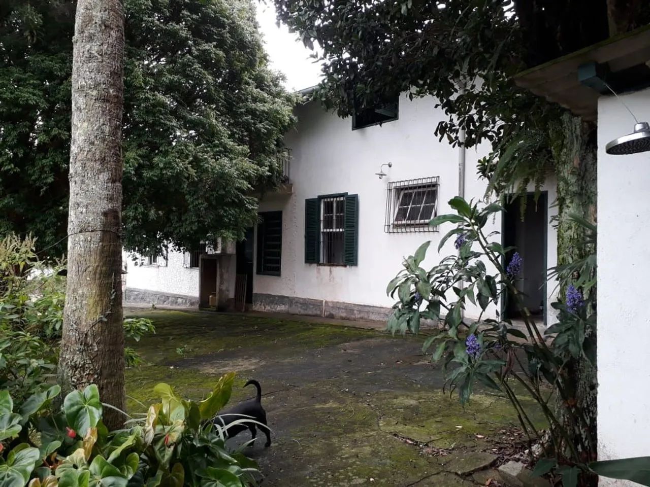 Casa Na Mosela Oportunidade!!!! - Foto 3