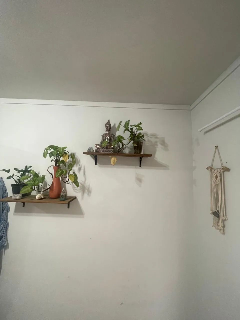 Par de Estantes de madeira 