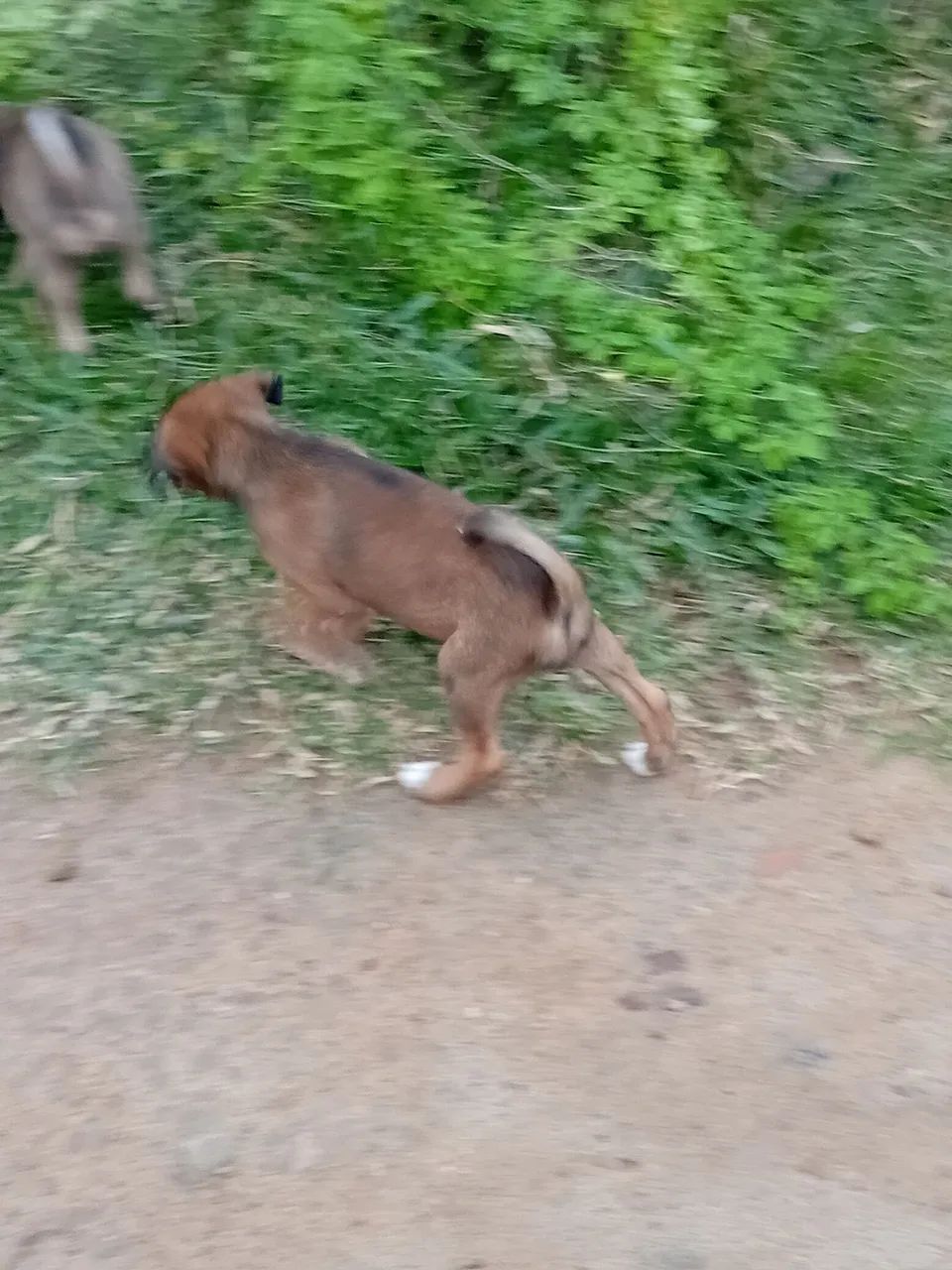 Pra doação 