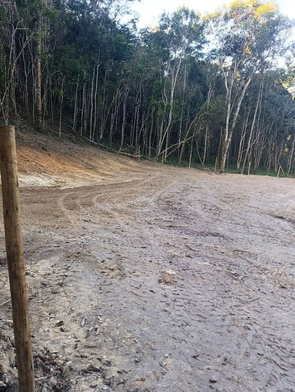 Chácara  - Foto 2