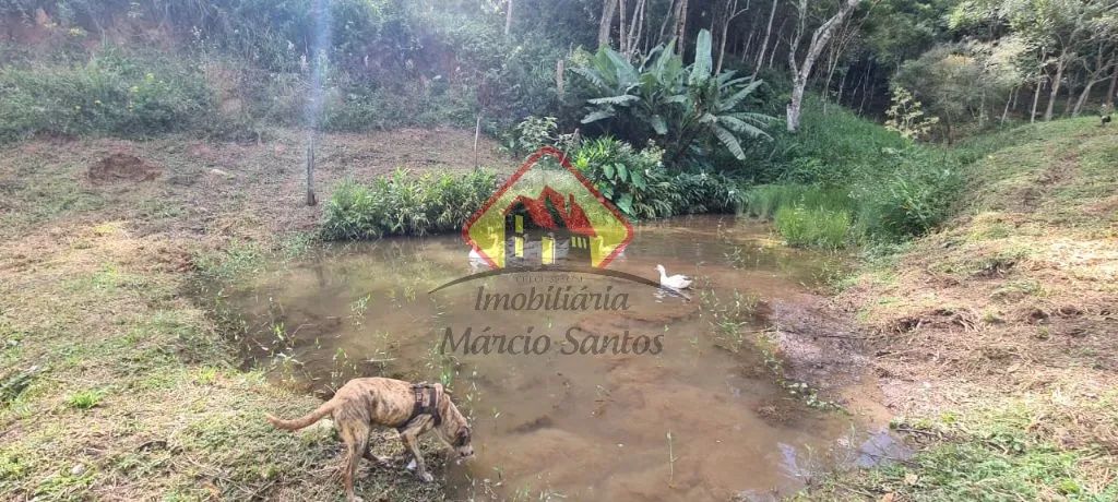Sítio com 7 lagoas, com peixes, Casa Sede, casa de Caseiro, horta, frutas e fácil acesso e - Foto 4