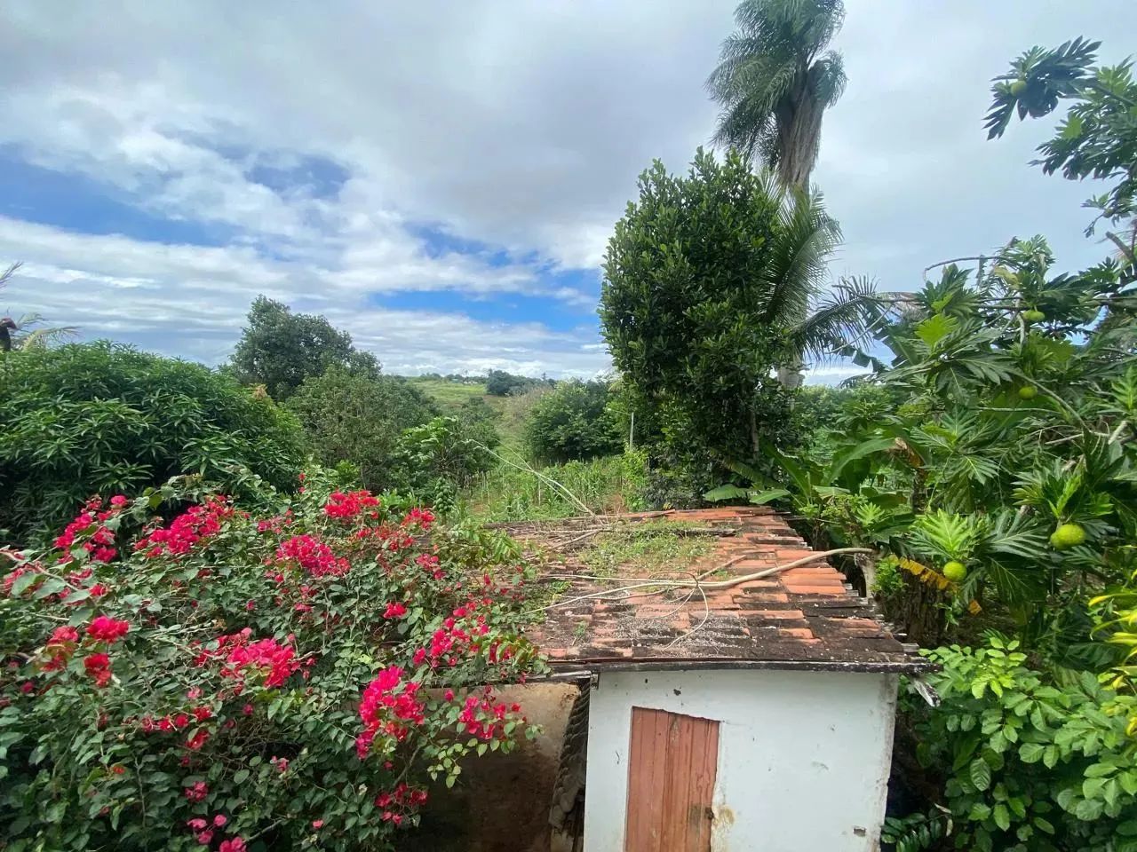 Imóvel para venda possui 150 m² com 3 quartos em Centro - Carpina - PE - Foto 5