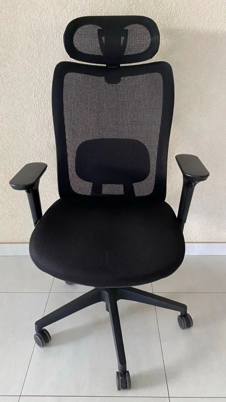 Cadeira ergonomica Elements Astra Pro (Usada) 