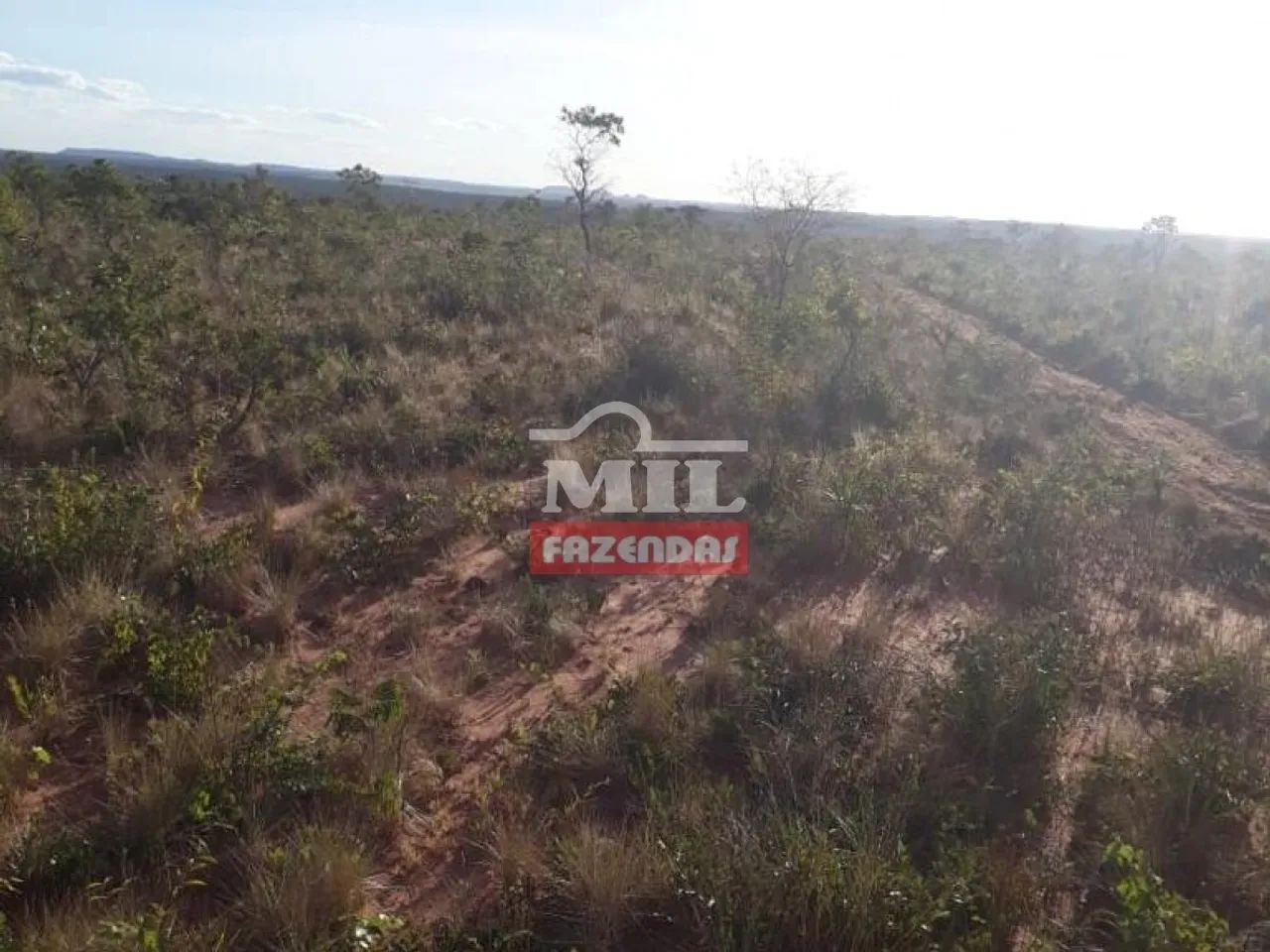 Fazenda com 8 Anos de Prazo no Tocantins. (13.000 Hectares) - Foto 3