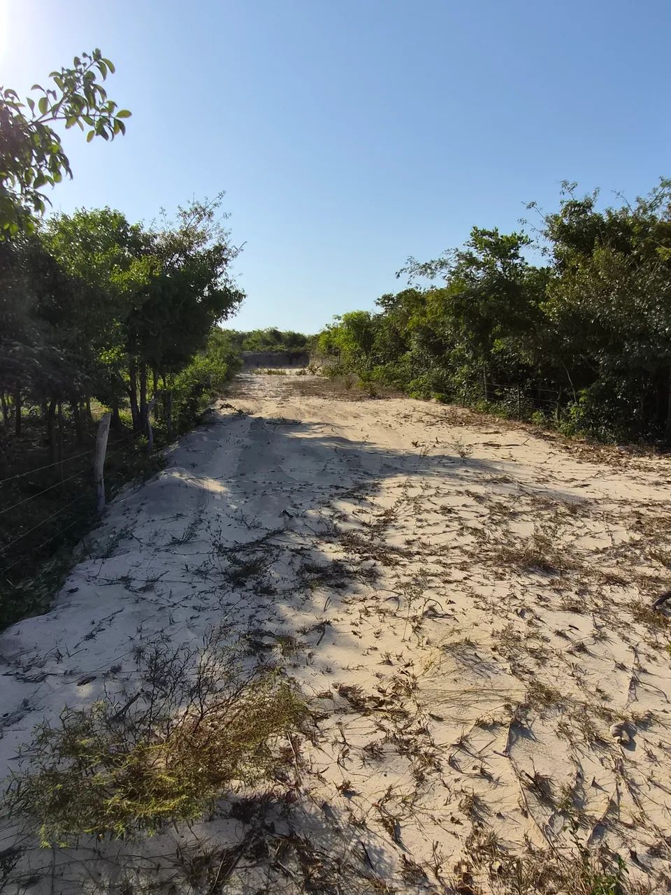 Terreno em Barreirinhas - Foto 2