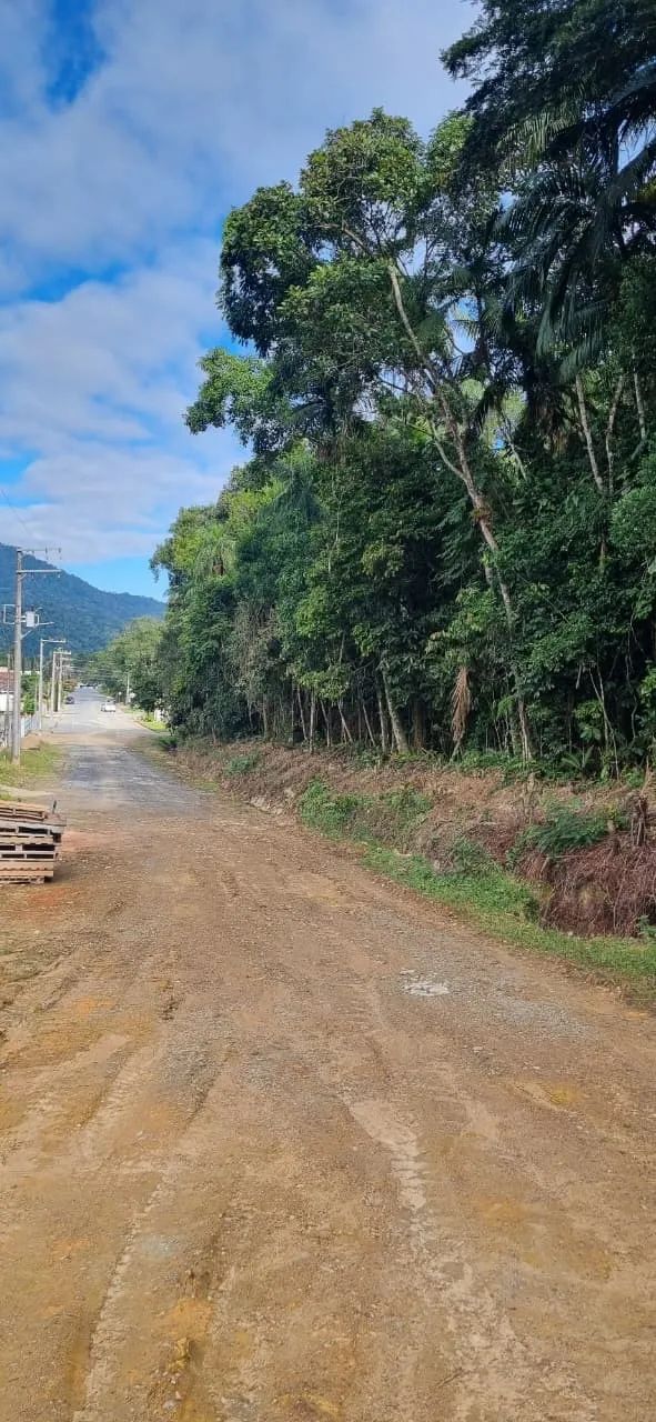 Vende-se amplo terreno no centro de Schroeder - Foto 4