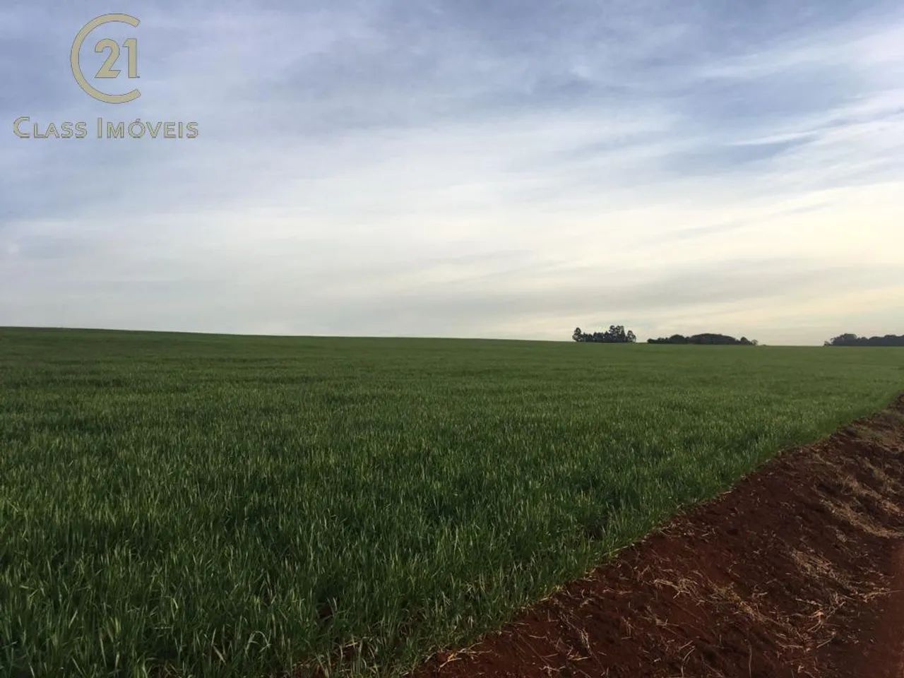 Sítio à venda em Marilândia do Sul, Centro, com 200 m² - Foto 4
