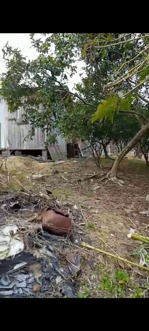 Vendo sitio em Ascurra  - Foto 2