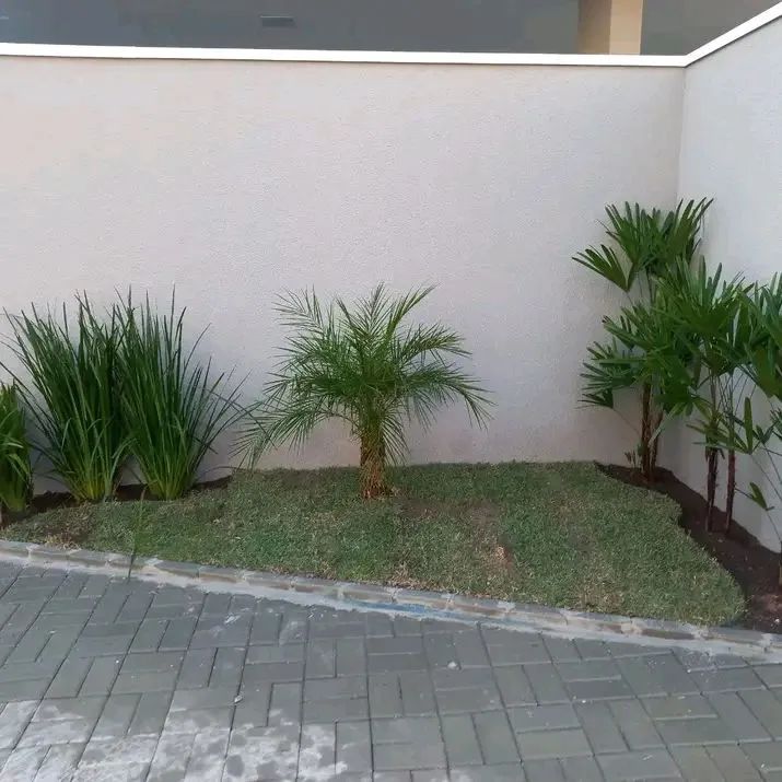 Grama Esmeralda Instalada e Manutenção 