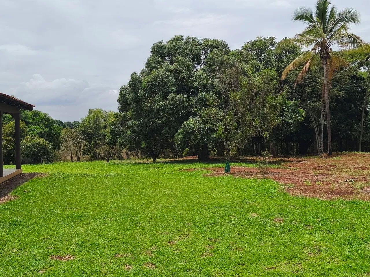 Chácara 2 Hectares  - Foto 4
