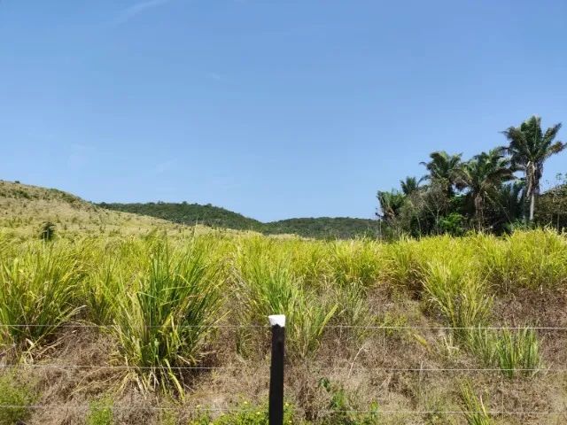 Fazenda em Vargem Grande do Maranhão - Foto 4