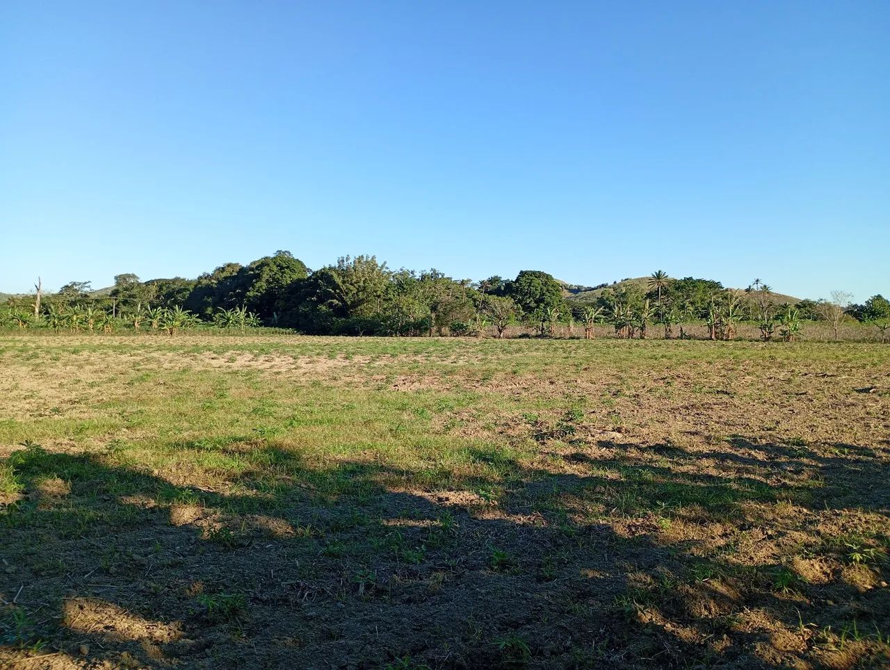 SÍTIO - JACERUBA - RJ - Foto 5