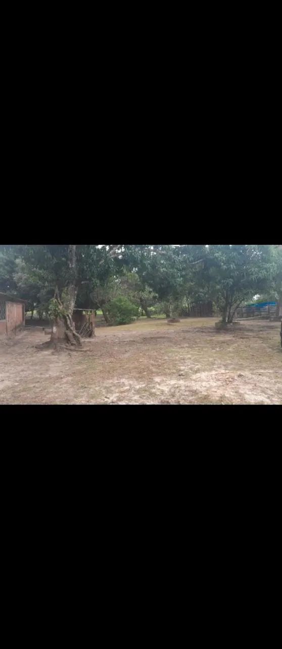 Sitio  - Foto 4
