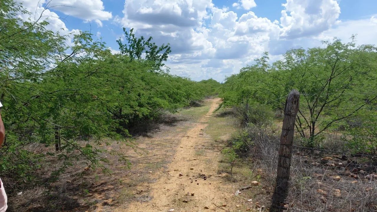 Foto - Juazeiro - Alto da Aliança