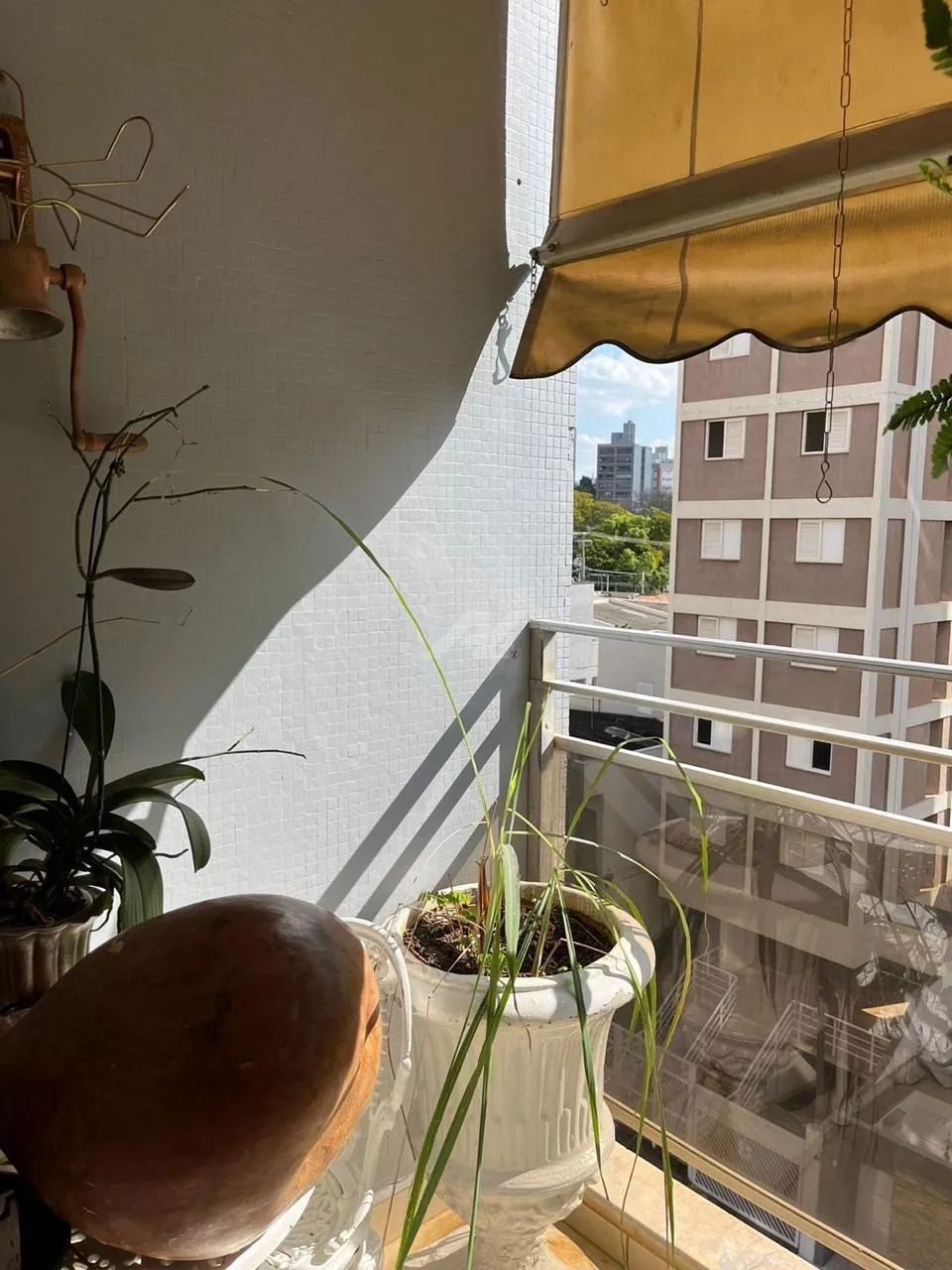 apartamento - Vila Itapura - Campinas - Foto 5
